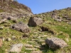 haystacks-in-the-lake-district-2010-05-2210