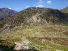 haystacks-in-the-lake-district-2010-05-2219