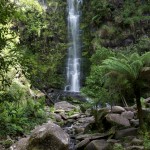 2011, Australia, B100, Erskine Falls, February, Great Ocean Road, Great Otway Park, Lorne, Victoria