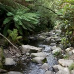 2011, Australia, B100, Erskine Falls, February, Great Ocean Road, Great Otway Park, Lorne, Victoria