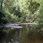 2011, Australia, B100, Erskine Falls, February, Great Ocean Road, Great Otway Park, Lorne, Victoria