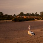 beauty, estuary, landscape, river, sunset, Tooradin, victoria, stopover, campervan, travelling, australia