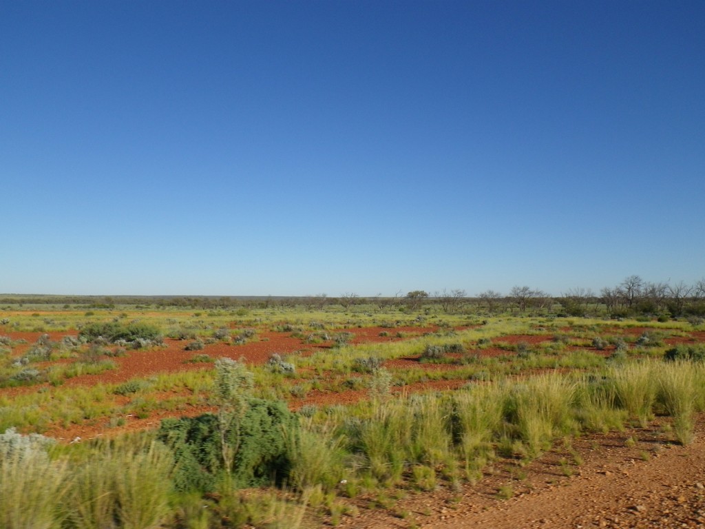 Stuart highway route 87 outback 2011-03-2911
